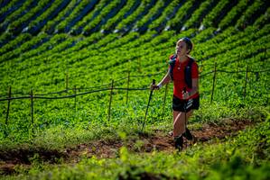 BIB: 
                            <button type="button" onclick="openModal(19161317)" class="btn btn-primary btn-sm float-right btn-popup" data-toggle="modal" data-target=".modal-high-quality">
                        <i class="fas fa-shopping-cart"></i> Add to Cart
                    </button>
                                            <button type="button" onclick="isThisMe(19161317, true)" class="btn btn-success btn-sm float-right btn-popup btn-isme hidden" data-toggle="tooltip" data-placement="bottom" title="นี่คือรูปของคุณใช่ไหม คลิกที่นี่เพื่อเอาเข้าอัลบั้ม">
                        <i class="fas fa-plus"></i> Add to album
                    </button>
                    <button type="button" onclick="isThisMe(19161317, false)" class="btn btn-warning btn-sm float-right btn-popup btn-isnotme hidden">
                        <i class="fas fa-ban"></i> Remove from album
                    </button>